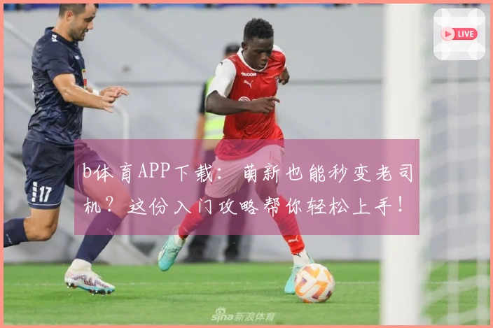 b体育APP下载：萌新也能秒变老司机？这份入门攻略帮你轻松上手！