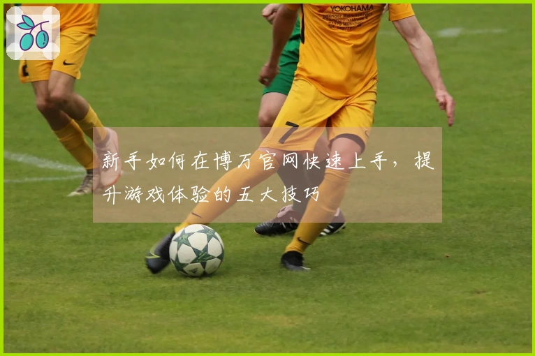 新手如何在博万官网快速上手，提升游戏体验的五大技巧